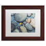 Trademark Fine Art Stephen Stavast 'Reflections on a Gray Day' 11 x 14 (ALI0744-W1114MF)