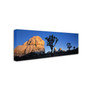 Trademark David Evans "First Light-Joshua Tree NP" Gallery-Wrapped Canvas Art, 10" x 32" (65dcf9cbe8837636b11a313a_ud)