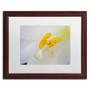 Trademark Fine Art Monica Mize 'Lucky Lasting' 16 x 20 (MF156-W1620MF)