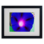 Trademark Kurt Shaffer "Deep Blue Morning Glory" Art, White Matte With Black Frame, 16" x 20" (65dcf9e4e8837636b11a31c3_ud)