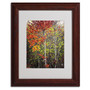 Trademark Philippe Sainte-Laudy "Colour Touch" Art, White Matte With Wood Frame, 11" x 14" (65dcf9efe8837636b11a31ee_ud)