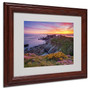 Trademark Fine Art 11" x 14" Acrylic Brittany in Flowers, Dark Wood (65dcf9fce8837636b11a3240_ud)