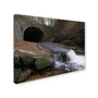 Trademark Monica Fleet "Monotonous Beauty" Gallery-Wrapped Canvas Art, 24" x 32" (65dcfa07e8837636b11a3256_ud)