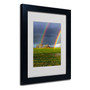 Trademark Fine Art 11" x 14" Acrylic Double Rainbow, Black Frame (65dcfa2ce8837636b11a3323_ud)