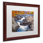 Trademark CATeyes "Great Falls" Art, White Matte W/Wood Frame, 16" x 20" (65dcfa38e8837636b11a3348_ud)