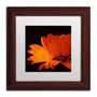 Trademark Fine Art Philippe Sainte-Laudy 'Happening Now' 11" x 11" Matted Framed Art Print (190836220946)