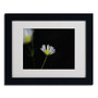 Trademark Monica Fleet "Light in the Dark" Art, White Matte W/Black Frame, 11" x 14" (65dcfa84e8837636b11a34c0_ud)