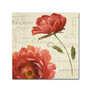 Trademark Fine Art Lisa Audit 'My Own Words' 14 x 14 (WAP0199-C1414GG)
