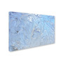 Trademark Kurt Shaffer "Frost Pattern #3" Gallery-Wrapped Canvas Art, 22" x 32" (65dcfa9ee8837636b11a352b_ud)