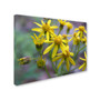 Trademark Monica Fleet "Intriguing Dynasty" Gallery-Wrapped Canvas Art, 35" x 47" (65dcfacbe8837636b11a35f9_ud)