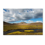 Trademark Fine Art Philippe Sainte-Laudy 'Cloudy Day' 12" x 19" Canvas Stretched Art Print (190836290246)