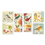 Trademark Fine Art Wild Birds Wall Collection 24 x 24 (WC0014-SET-6)