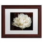 Trademark Fine Art Cora Niele 'Double White Tulip' 11" x 14" Matted Framed (190836257744)
