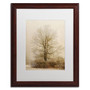 Trademark Fine Art Lois Bryan 'Tan Tones in the Fog' 16 x 20 Framed Art Print (LBR0286-W1620MF)