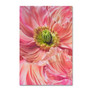 Trademark Fine Art Cora Niele 'Cerise Pink Poppy' 12" x 19" Canvas Stretched Art Print (190836256808)