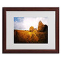 Trademark Philippe Sainte-Laudy "Light in Vineyards" Art, White Matte With Wood Frame, 16" x 20" (65dcfb9be8837636b11a39be_ud)
