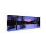 Trademark David Evans "Pyramid Mountain-Canada" Gallery-Wrapped Canvas Art, 6" x 19" (65dcfba8e8837636b11a3a01_ud)