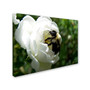 Trademark Monica Fleet "Passionate Desire" Gallery-Wrapped Canvas Art, 14" x 19" (65dcfbb6e8837636b11a3a44_ud)