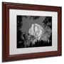 Trademark Pierre Leclerc "Yosemite BW" Art, White Matte W/Wood Frame, 11" x 14" (65dcfbfae8837636b11a3b80_ud)