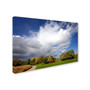 Trademark Philippe Sainte-Laudy "Dust in the Wind" Gallery-Wrapped Canvas Art, 16" x 24" (65dcfbfbe8837636b11a3b88_ud)