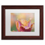 Trademark Fine Art Cora Niele 'Tulip Crispa' 11" x 14" Matted Framed (190836249763)