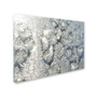 Trademark Kurt Shaffer "Frost Pattern in the Sun" Gallery-Wrapped Canvas Art, 24" x 32" (65dcfc1ee8837636b11a3c2b_ud)