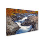 Trademark CATeyes "Great Falls" Gallery-Wrapped Canvas Art, 12" x 19" (65dcfc2ae8837636b11a3c70_ud)