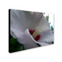 Trademark Monica Fleet "Ka Nani" Gallery-Wrapped Canvas Art, 18" x 24" (65dcfc41e8837636b11a3ceb_ud)