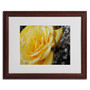 Trademark Monica Fleet "Maha'oi" Art, White Matte W/Wood Frame, 16" x 20" (65dcfc42e8837636b11a3cf2_ud)