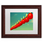 Trademark Fine Art Beata Czyzowska Young 'Sundried Tomatoes' 11" x 14" Matted Framed (190836186129)