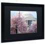 Trademark CATeyes "Cherry Blossoms 2014-7" Art, Black Matte W/Black Frame, 16" x 20" (65dcfca1e8837636b11a3ea0_ud)