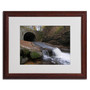 Trademark Monica Fleet "Monotonous Beauty" Art, White Matte W/Wood Frame, 16" x 20" (65dcfcc7e8837636b11a3f40_ud)