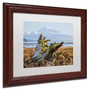 Trademark Pierre Leclerc "Snowy Owl" Art, White Matte W/Wood Frame, 11" x 14" (65dcfcd5e8837636b11a3f7c_ud)