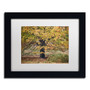 Trademark Fine Art Cora Niele 'Beech Tree' 11" x 14" Matted Framed (190836315949)
