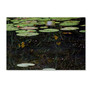 Trademark Fine Art Kurt Shaffer 'Marsh Reflections' 12" x 19" Canvas Stretched Art Print (190836007394)