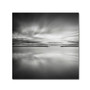 Trademark Fine Art Dave MacVicar 'Double Vision' 14 x 14 (ALI0828-C1414GG)