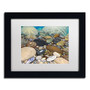 Trademark Fine Art Stephen Stavast 'Shoreline Treasures' 11 x 14 (ALI0746-B1114MF)