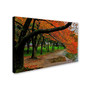 Trademark CATeyes "Tidal Basin Autumn 2" Gallery-Wrapped Canvas Art, 16" x 24" (65dcfd38e8837636b11a412c_ud)