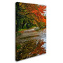 Trademark CATeyes "Tidal Basin Autumn 1" Gallery-Wrapped Canvas Art, 16" x 24" (65dcfd39e8837636b11a4145_ud)