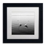 Trademark Fine Art ''2 Herons'' by Moises Levy 11" x 11" White Matted Black Frame (ALI1086-B1111MF)