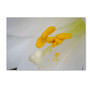 Trademark Fine Art Monica Mize 'Lucky Lasting' 30 x 47 (MF156-C3047GG)