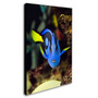 Trademark Kurt Shaffer "Parrot Fish" Gallery-Wrapped Canvas Art, 30" x 47" (65dcfd6ce8837636b11a4211_ud)