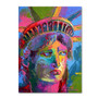 Trademark Fine Art 14" x 19" Wooden Frame Lady Liberty 2 (65dcfd84e8837636b11a4285_ud)