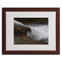 Trademark Monica Fleet "Cascading Fury" Art, White Matte W/Wood Frame, 16" x 20" (65dcfd9ee8837636b11a42fb_ud)