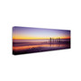 Trademark David Evans "Willunga Glow" Gallery-Wrapped Canvas Art, 16" x 47" (65dcfdade8837636b11a4338_ud)
