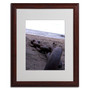 Trademark Monica Fleet "Boundless" Art, White Matte W/Wood Frame, 16" x 20" (65dcfdc7e8837636b11a43a9_ud)