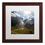 Trademark Fine Art Philippe Sainte-Laudy 'River of Ice' 16 x 16 (PSL0362-W1616MF)