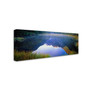 Trademark David Evans "Peters Pool-Franz Josef-NZ" Gallery-Wrapped Canvas Art, 6" x 19" (65dcfdd4e8837636b11a4408_ud)