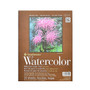 Strathmore 400 Series Watercolor Pad 9 In. X 12 In. Block Of 15 [Pack Of 2] (65dd0422e8837636b11a73ed_ud)