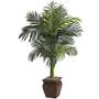 Nearly Natural 5937 Cane Palm with Decorative Container 54 x 40 inch, Multi (65dd057ee8837636b11a7f60_ud)